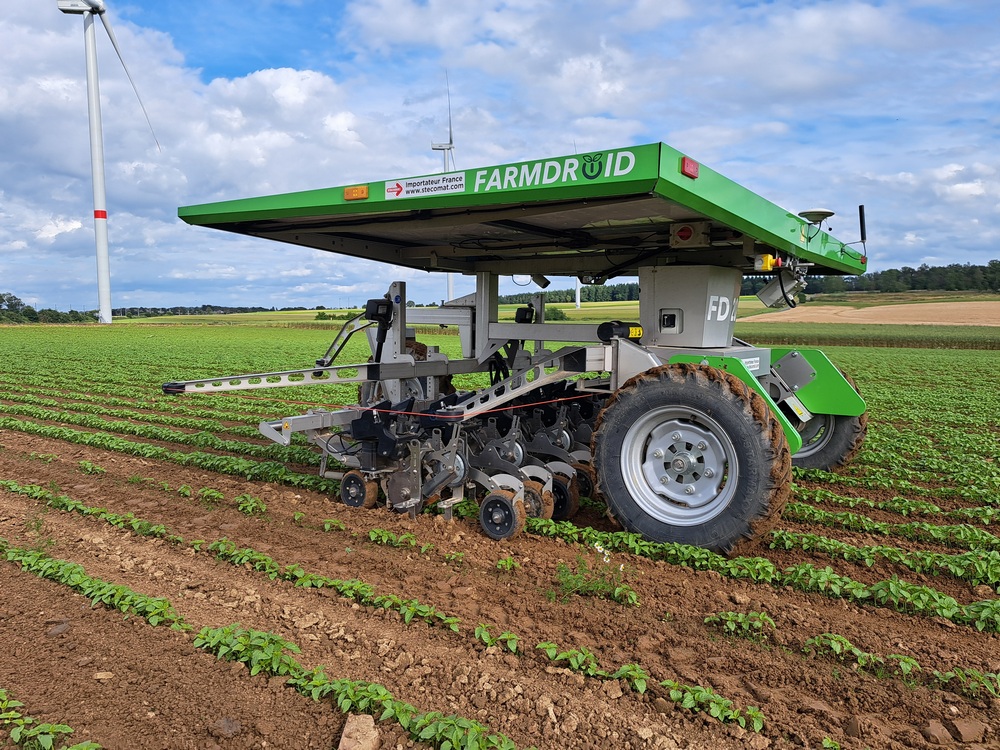 Désherbage de chia avec le robot FarmDroid